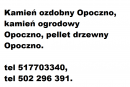 Beztytuu523
