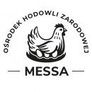 Messa