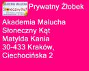 akademia malucha soneczny kt2