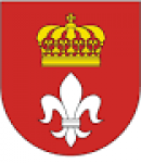 layoutsetlogo